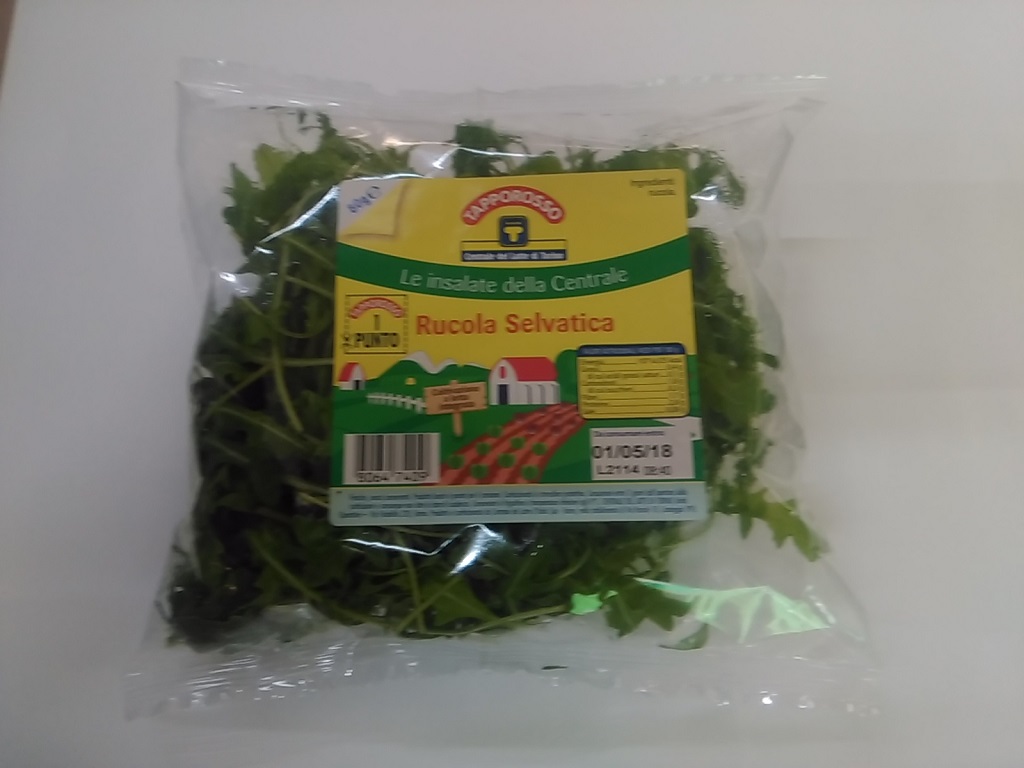 Insalata Rucola C.L.T. g80